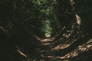 Read more about the article 50+ Quotes on Finding Your Path in Life