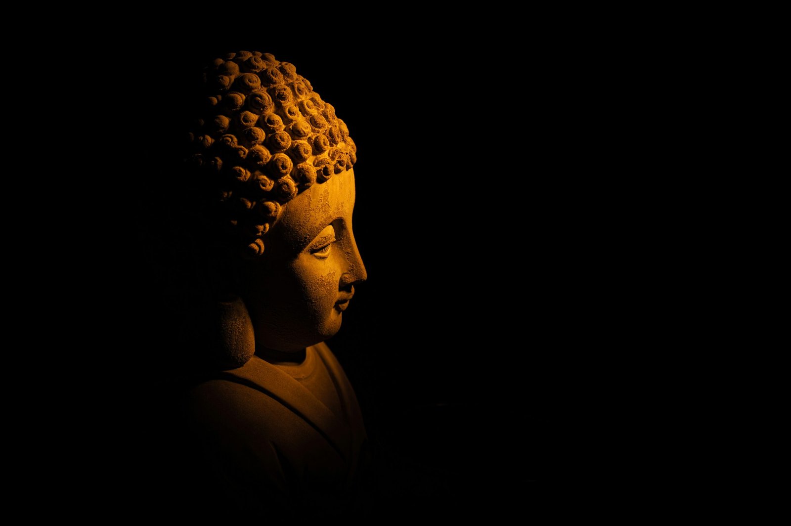 You are currently viewing 50+ Buddha Quotes That Will Feed Your Thinking
