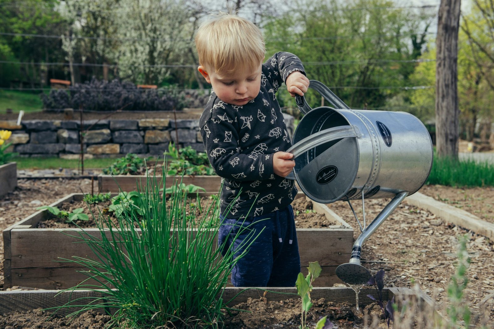 You are currently viewing 40+ Gardening Quotes That Will Show You to Dig Deeper