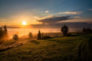 Read more about the article Top 10 Good Morning Quotes: Words to Brighten Your Day from the Start