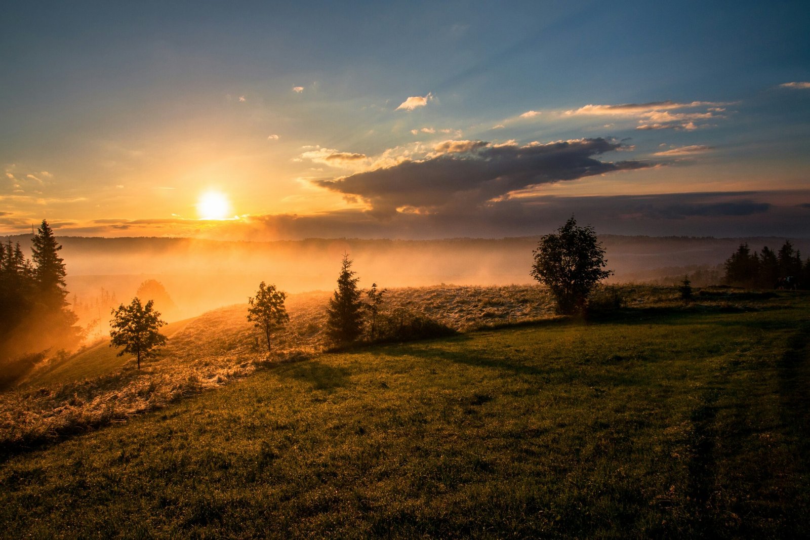 You are currently viewing Top 10 Good Morning Quotes: Words to Brighten Your Day from the Start