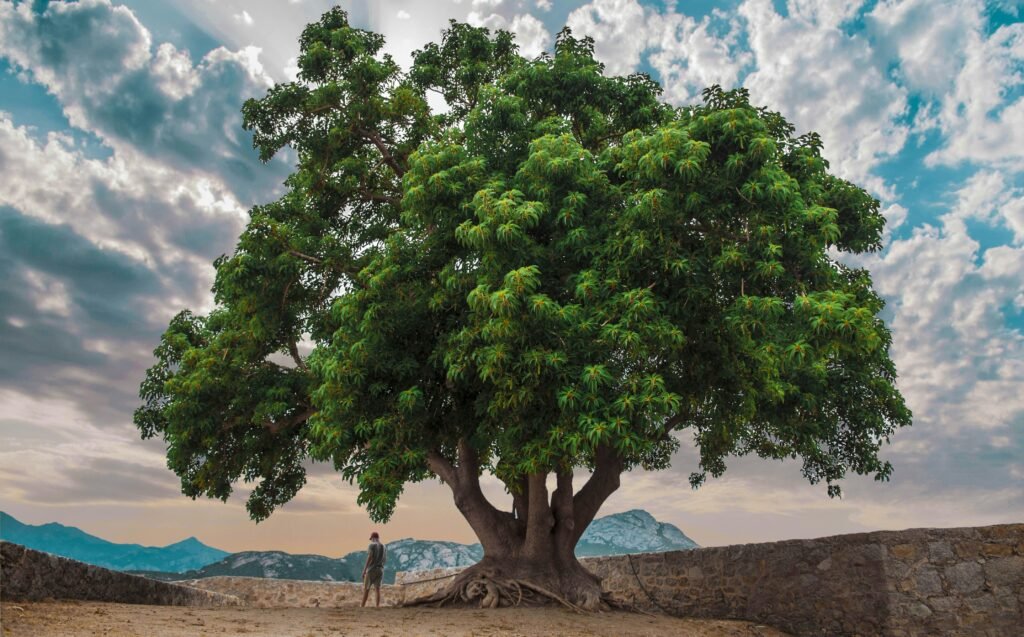 45+ Ignorance Quotes to Reflect On - Quote Wisdom