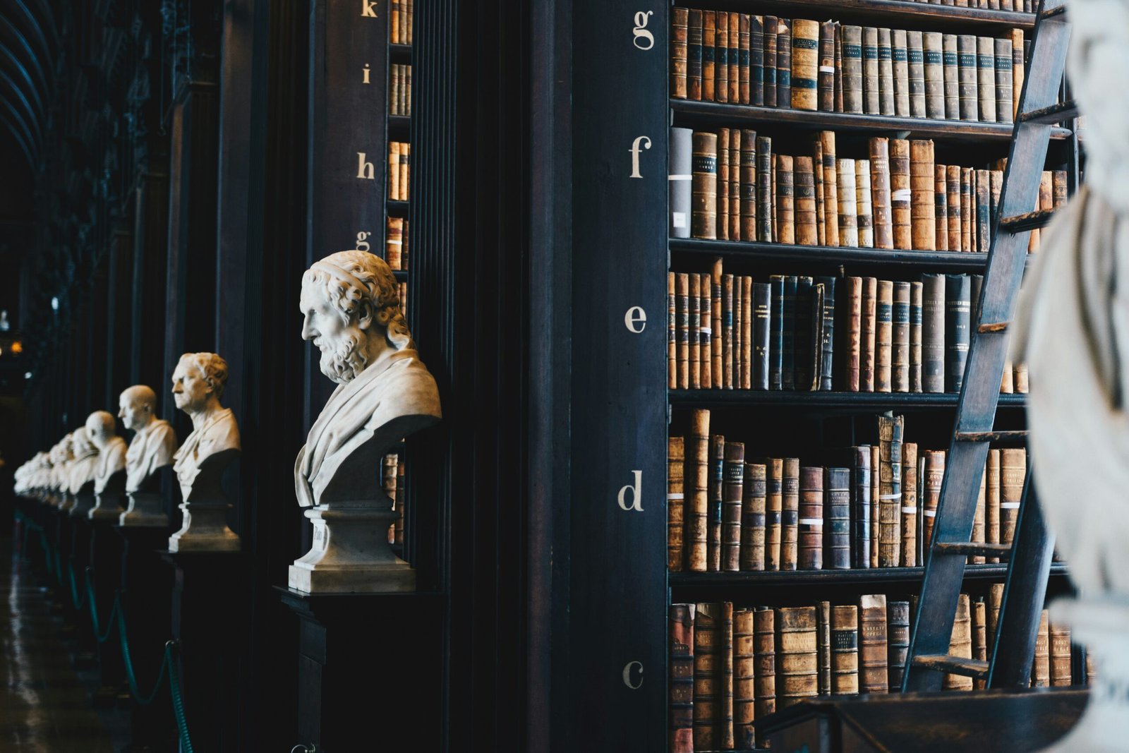 You are currently viewing 50+ History Quotes That Will Make You Reflect