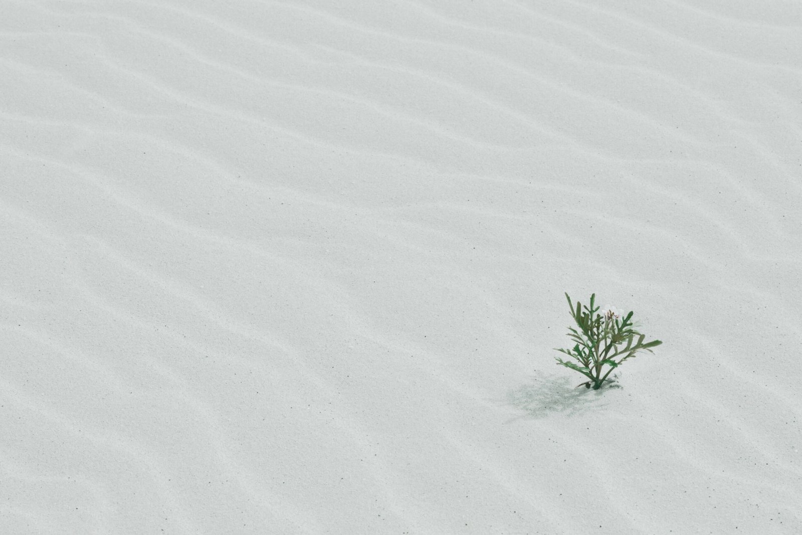 You are currently viewing 50+ Inspirational Life Quotes to Live By