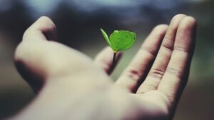 Read more about the article 20 Quotes About Life: Wisdom to Guide Your Journey