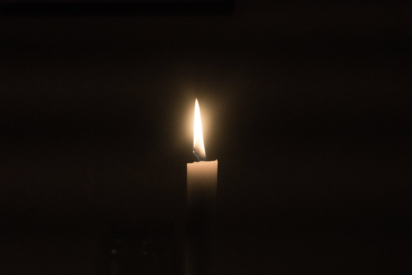 You are currently viewing Understanding Grief Through 8 Loss Quotes: Words That Heal the Heart