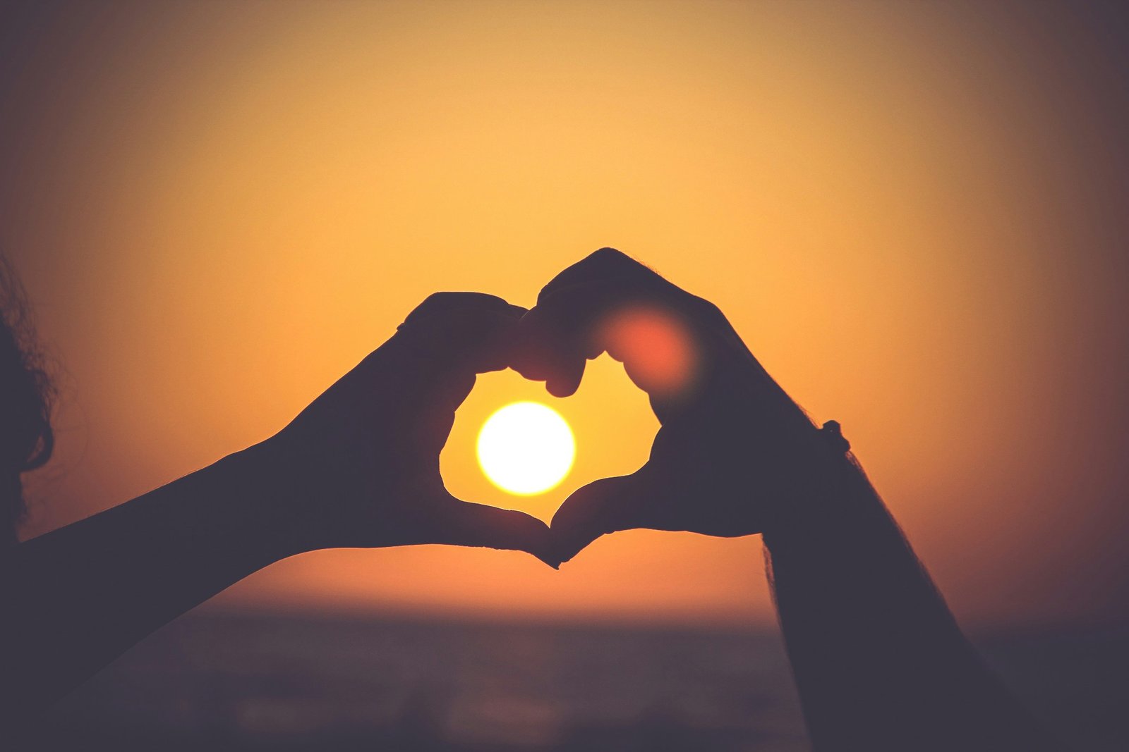 You are currently viewing 18 Love Quotes: Timeless Words That Touch the Heart