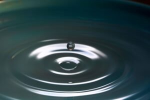 Read more about the article 40 Mindfulness Quotes to Help You Live in the Present Moment
