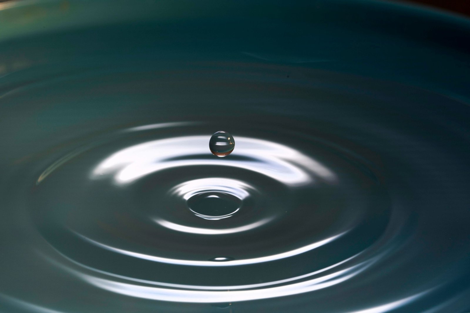 You are currently viewing 40 Mindfulness Quotes to Help You Live in the Present Moment