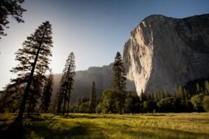 Read more about the article 15 Nature Quotes: Words That Capture the Beauty of the Natural World