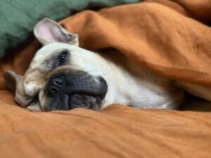 Read more about the article 30 Quotes on Laziness: Insights That Wake You Up