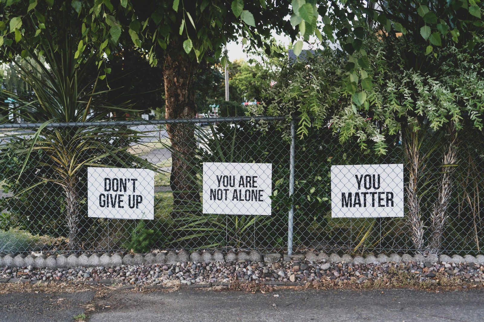 You are currently viewing 35 Recovery Quotes: Uplifting Sayings for Healing, Growth, and Strength
