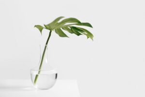 Read more about the article 35+ Simplicity Quotes to Inspire a Meaningful, Easy Life