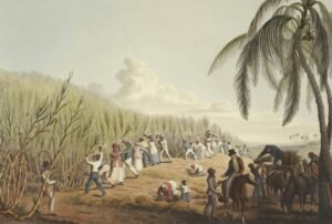 Read more about the article 20 Powerful Quotes on Slavery: Voices That Echo Through Time