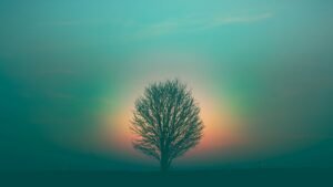 Read more about the article 50 Spiritual Quotes to Uplift the Soul and Awaken Inner Peace