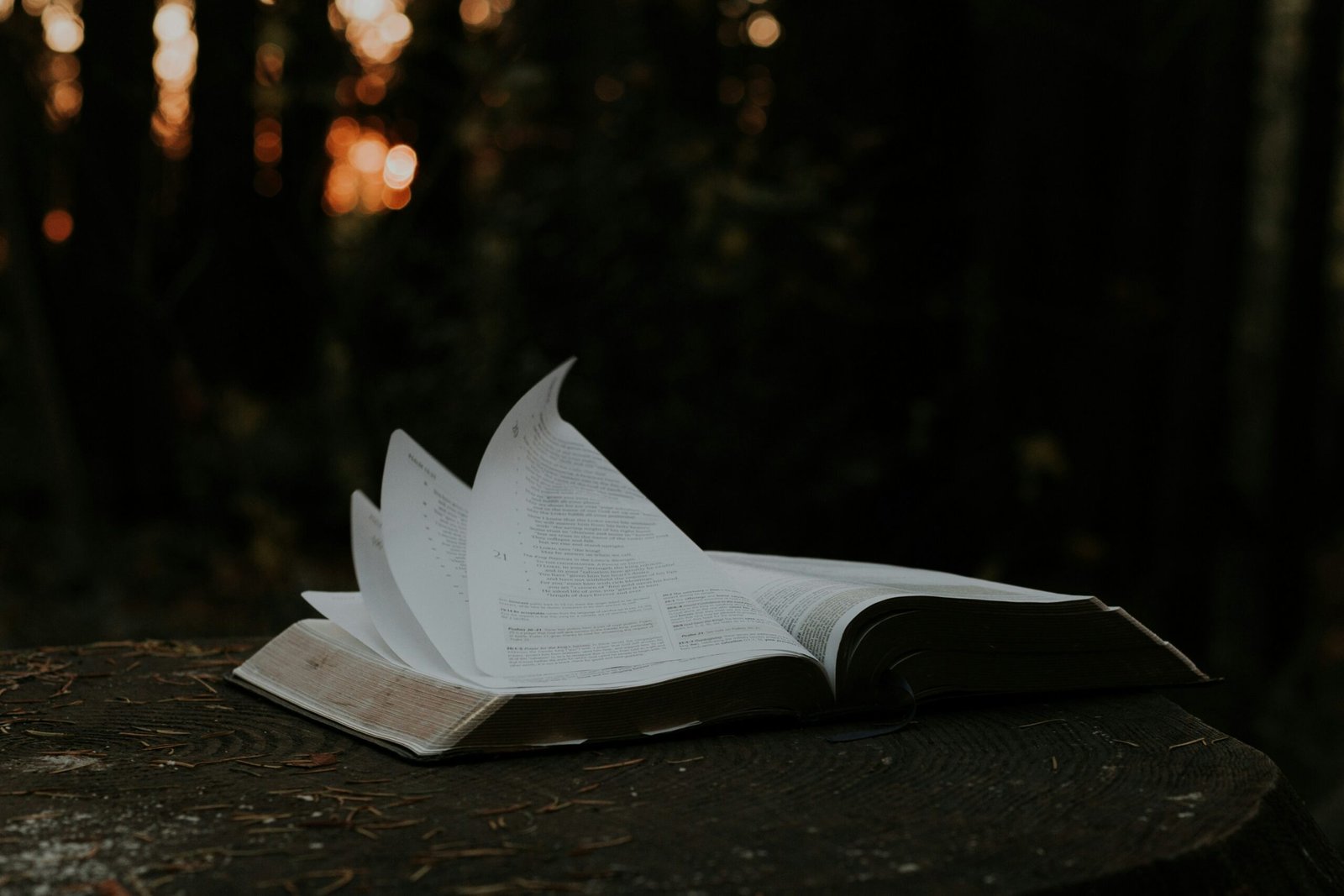 You are currently viewing 39 Wisdom Quotes: Timeless Insights for a Meaningful Life