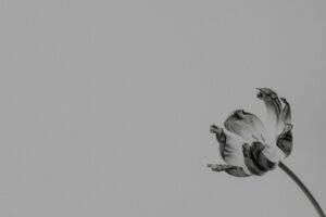 Read more about the article 50 Profound Nietzsche Quotes That Will Make You Rethink Life