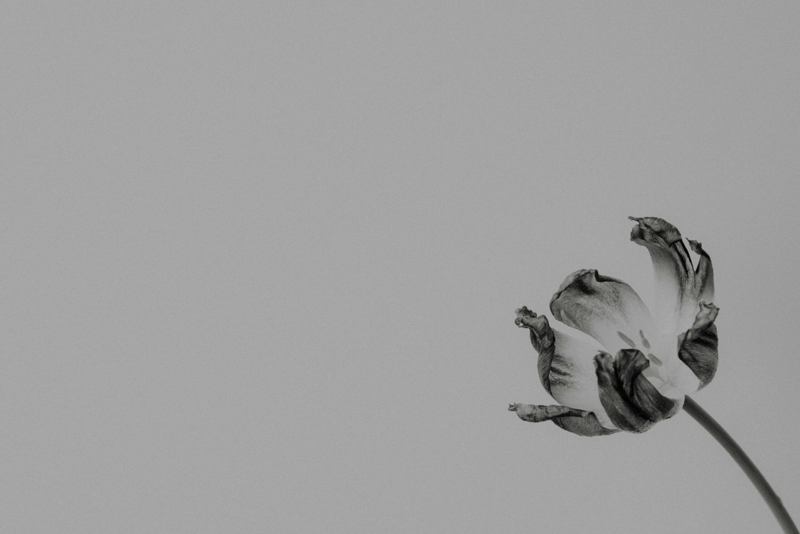 You are currently viewing 50 Profound Nietzsche Quotes That Will Make You Rethink Life