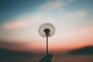 Read more about the article 40+ Inner Peace Quotes to Calm Your Mind and Soothe Your Soul