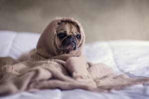 Read more about the article Monday Motivation Quotes: 30+ Uplifting Sayings to Start Your Week Strong