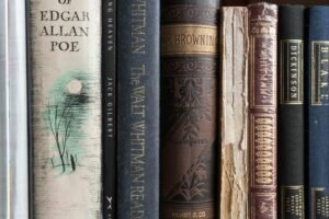 Read more about the article 60 Edgar Allan Poe Quotes on Love, Life, Death, and Mystery