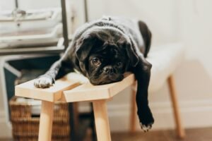 Read more about the article 50 Quotes About Boredom to Spark Inspiration