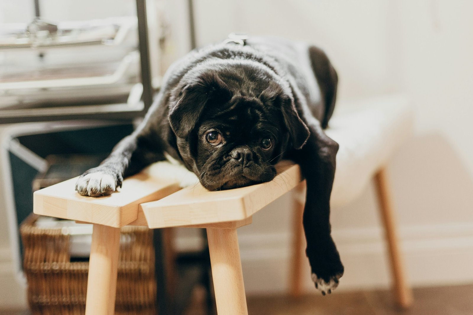 You are currently viewing 50 Quotes About Boredom to Spark Inspiration